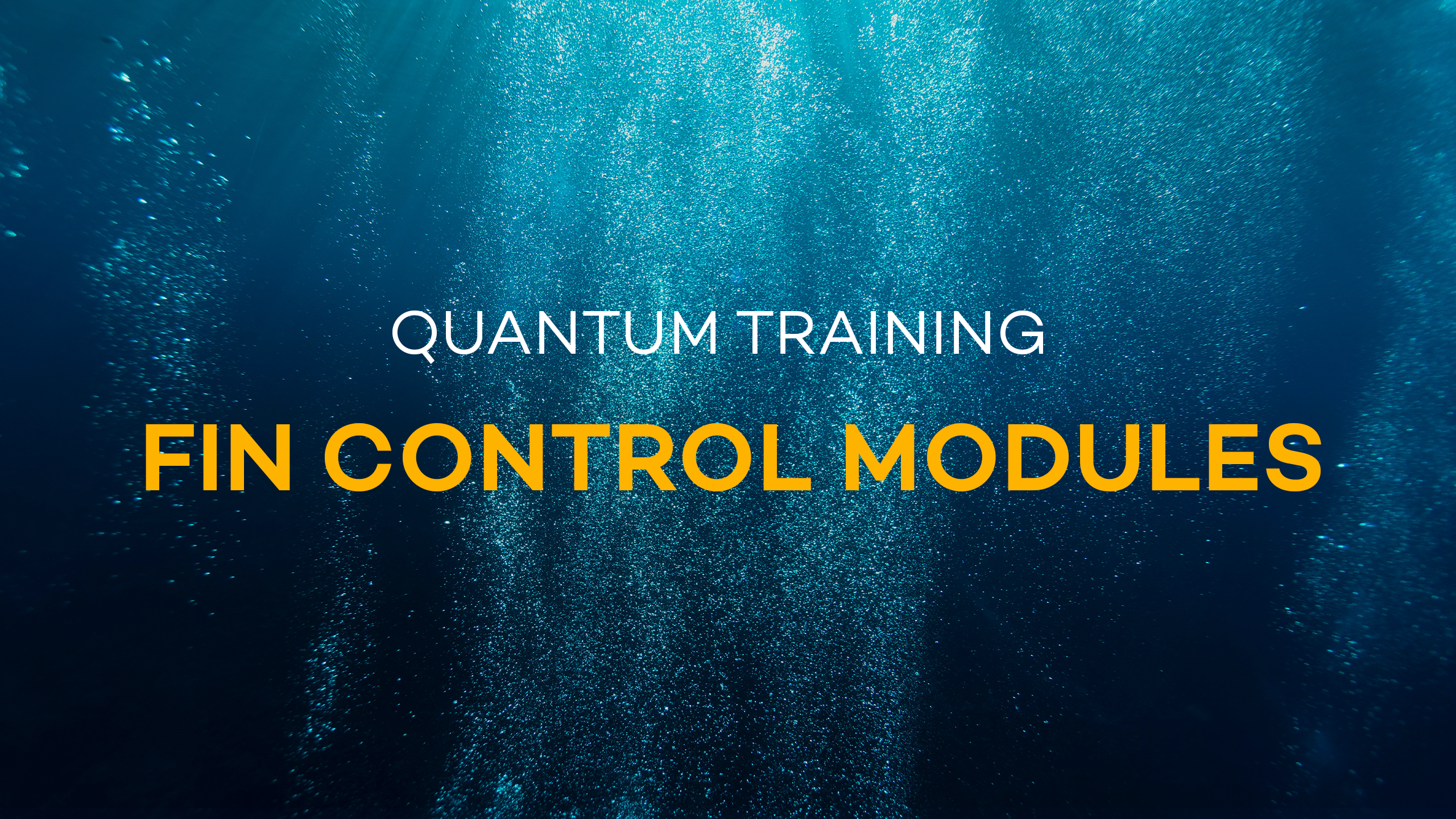 Modify Fin Control Modules for Fin Oscillation Simulator