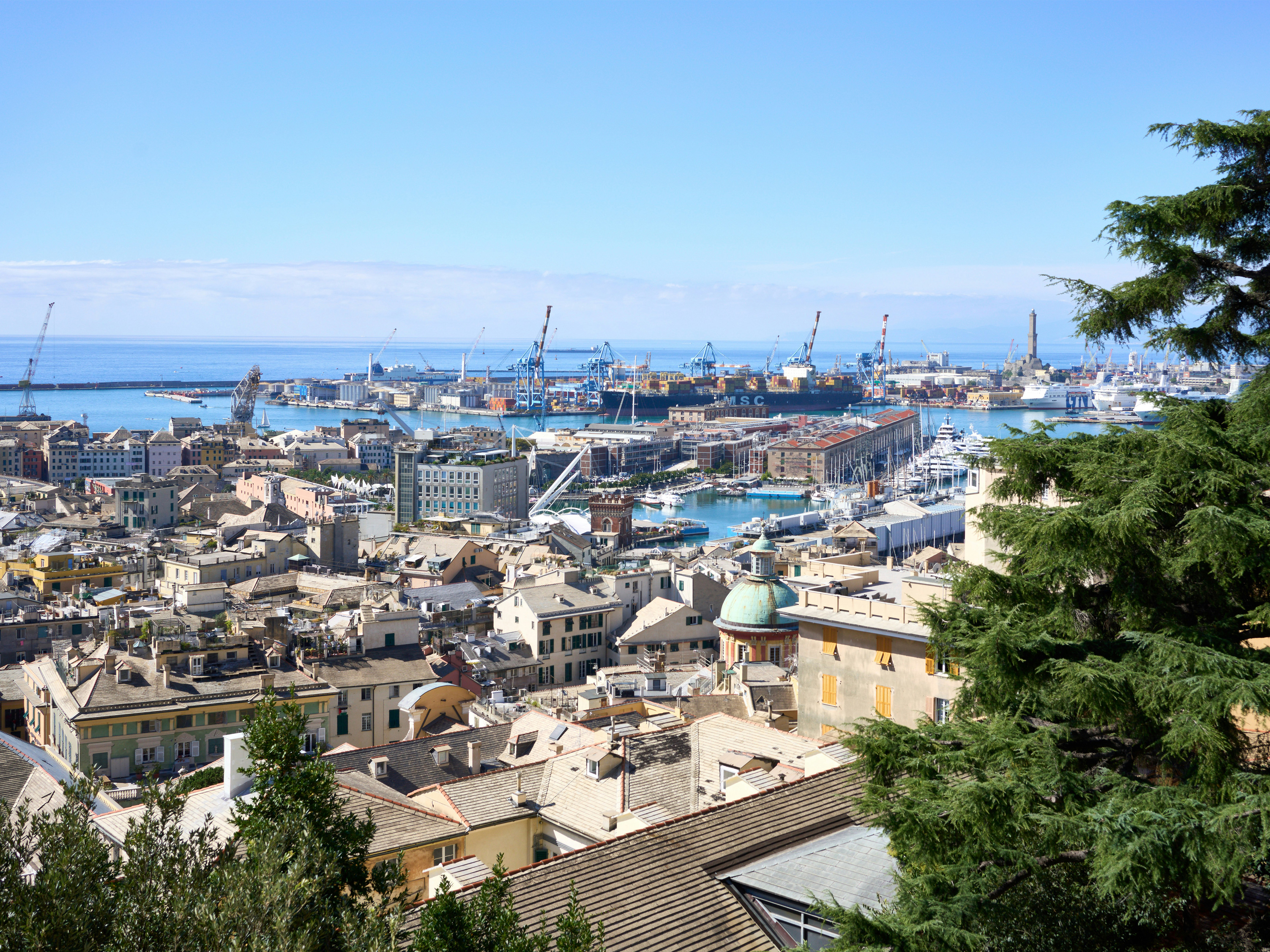 ShipPax Ferry Conference